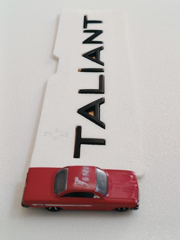 Taliant Piano Black Bagaj Yazısı 3M 3D ABS