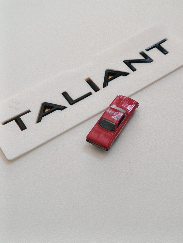 Taliant Piano Black Bagaj Yazısı 3M 3D ABS