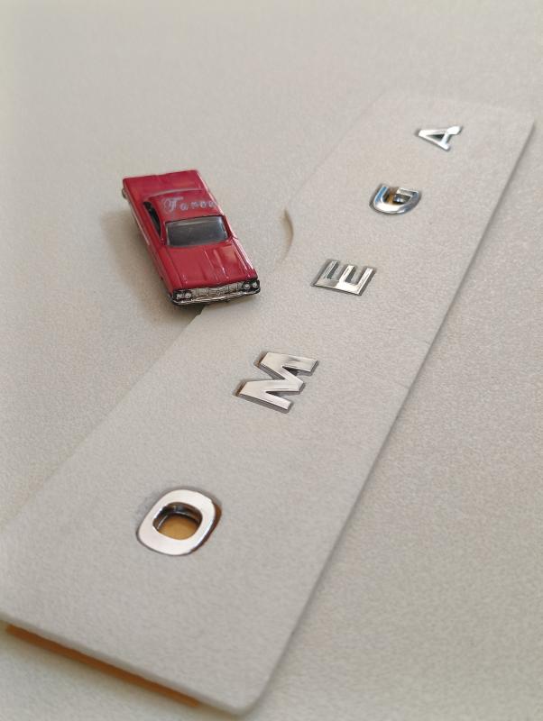 Omega Boşluklu Bagaj Yazısı 3M 3D ABS